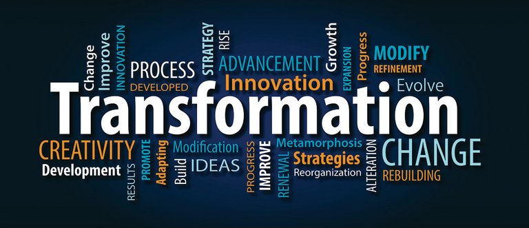 Transformation im SIWF: Optimierung und Anpassung für die Zukunft