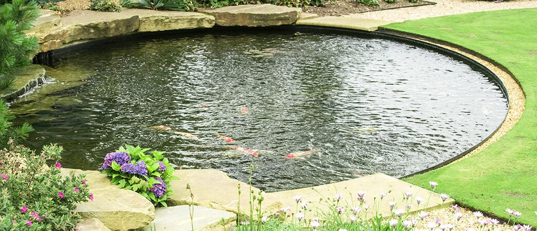 Die Ärzteschaft im digitalen Teich