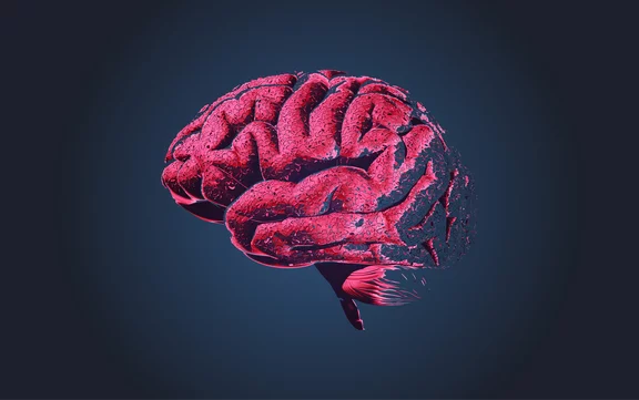Maladies neuro­dégénératives