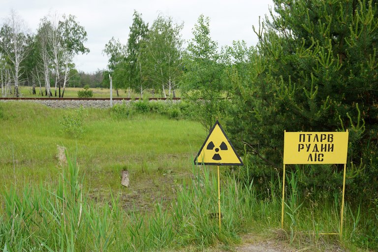 Les suites de Tchernobyl